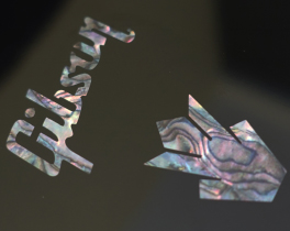 Gibson Logo & Crown ABALONE Headstock Logo Sticker