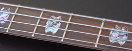 SPECTOR BASS OVAL