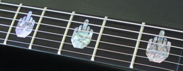 JAMES HETFIELD MIDDLE FINGER