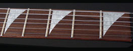 JACKSON SHARKFIN